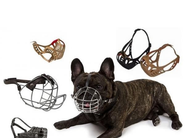 Focinheiras e Colar Elizab.