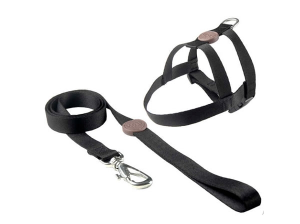 Guias / Coleiras / Peitorais / Correntes