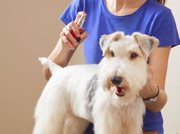 Colônias e Perfumes