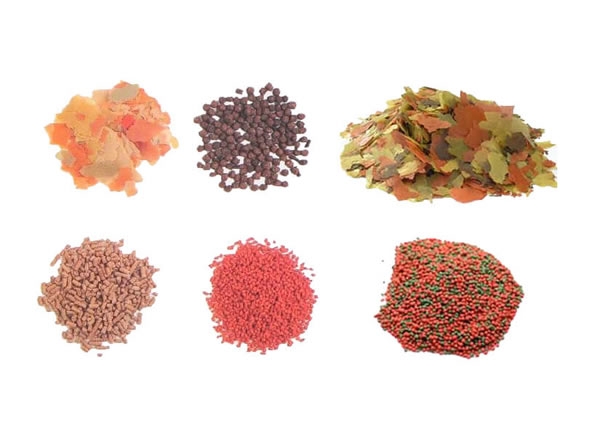 Rações e Alimentos